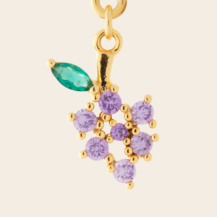 Vino - The Colorful Grapes Charm